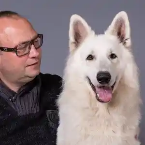 Dogcases.jpg
