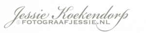 fotograaf_oostvoorne_Fotograaf_Jessie_2.jpg