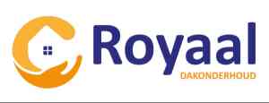dakdekker_rotterdam_royaal_dak_onderhoud_b.v._6.jpg