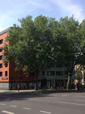 rechtsanwalt_aachen_Schiergens_T._Rechtsanwalt_3.jpg