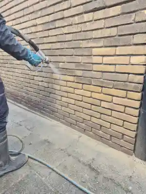 gevelrenovatie_honselersdijk_DW_cleaning__3.jpg