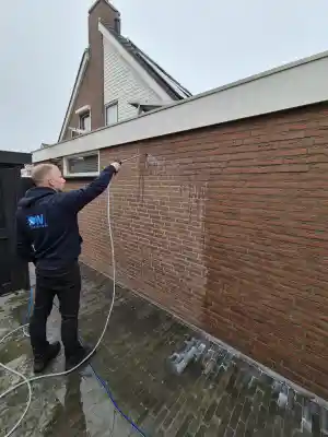 gevelrenovatie_honselersdijk_DW_cleaning__6.jpg