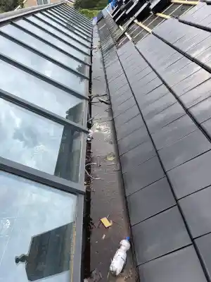 dakdekker_leeuwarden_De_Lima_dakdekkers_B.V._2.jpg