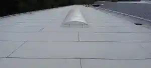 dakdekker_rosmalen_DAKJE_Dakbeheer_5.jpg