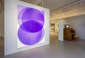 Noordbrabants Museum.jpg