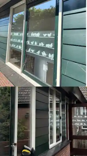 schoonmaakbedrijf_leidschendam_MNM_Schoonmaakdiensten_2.jpg
