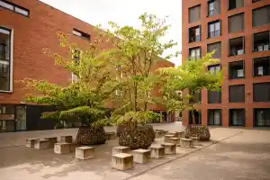 boekhouder_maastricht_Numbr_-_boekhouders_&_adviseurs_5.jpg