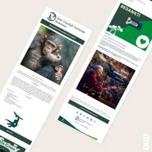 Nieuwsbrief Mailchimp.jpg