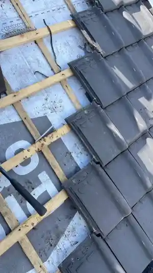 Renovatie pannendak..jpg