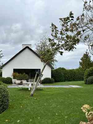 tuinaanleg-en-tuinonderhoud_kluisbergen-berchem_Boomverzorging_MVH_6.jpg