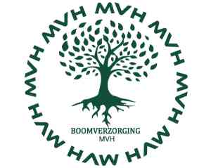 tuinaanleg-en-tuinonderhoud_kluisbergen-berchem_Boomverzorging_MVH_2.jpg