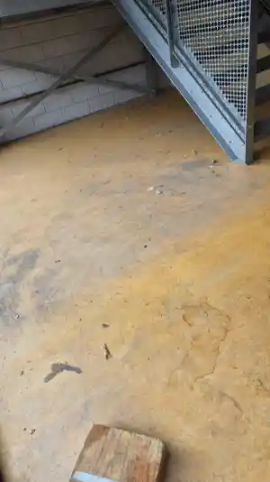 schoonmaakbedrijf_zoetermeer_Faisal_cleaning__services_V.O.F_7.jpg