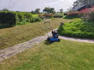 hovenier_hasselt_Van_Houweling_Hoveniers__5.jpg