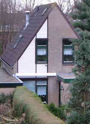schilder_duiven_Oogjes_Schilderwerken__4.jpg