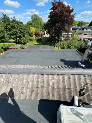 schoorsteenveger_rosmalen_Dakservice_bakkers_4.jpg