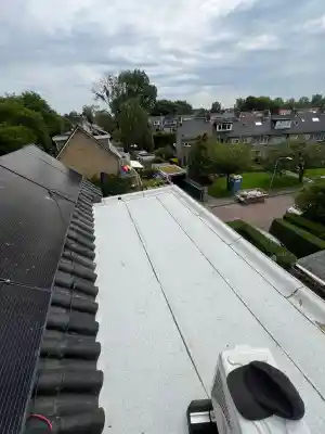 schoorsteenveger_rosmalen_Dakservice_bakkers_2.jpg