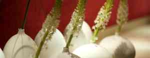 catering_duisburg_Gourmet_Team_Catering_und_Event_GmbH_5.jpg