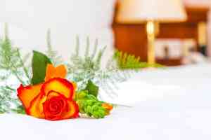 catering_langenfeld_Hotel_+_Restaurant_Am_Fuhrkamp,_Langenfeld_Rheinland_3.jpg