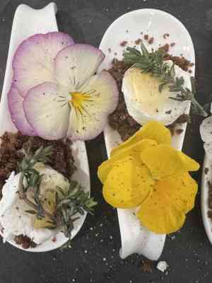 catering_krefeld_Catering_&_Eventsservice_Sei_mein_Gast_-_Nadine_Dorau_7.jpg