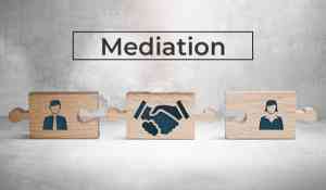 mediator_beneden-leeuwen_MotivMind_4.jpg