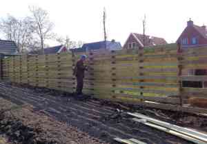 stratenmaker_oldehove_Hoveniersbedrijf_Duizendknoop_2.jpg
