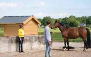 coaching_achterveld-ut_Toppaardencoaching_5.jpg