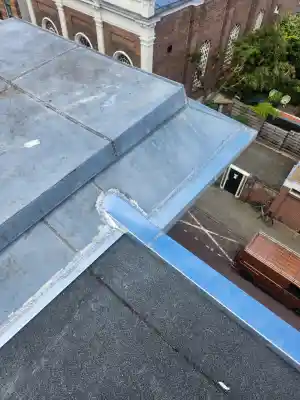 Dak in den haag geheel gerenoveerd.jpg