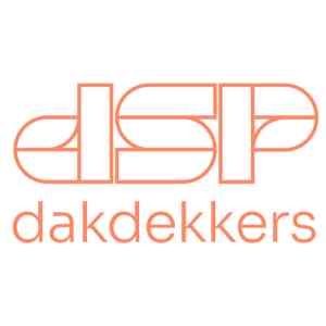 dakdekker_drunen_Dsp_dakdekkers__2.jpg