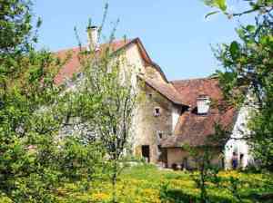 immobilienmakler_freiburg-im-breisgau_Vogel_Immobilienmakler_6.jpg