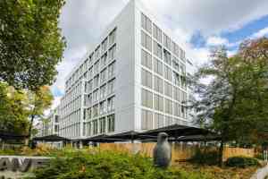 immobilienmakler_hamburg_ASTRON_Immobilien_5.jpg