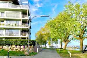 immobilienmakler_kiel_Dr._Weber_Immobilien_5.jpg