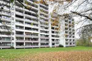immobilienmakler_wiesbaden_Karlin-Expert_-_Immobilienmakler_in_Deutschland_3.jpg