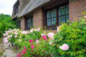immobilienmakler_windeby_Thomas_Schulze_Immobilien_7.jpg