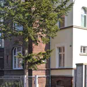 immobilienmakler_eisenach-th%C3%BCringen_Peterseim_Immobilien_3.jpg