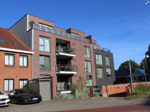 immobilienmakler_rhauderfehn_Jörg_Düring_real_estate_brokers_and_experts_(Jörg_Düring_Immobilienmakler_und_Sachverständiger)_5.jpg