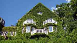 immobilienmakler_stuttgart_Dr._Bolz-Immobilien_GmbH_&_Co._KG_3.jpg
