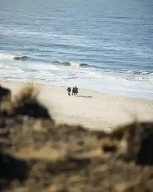 immobilienmakler_sylt-ost_Mogck_+_Partner_5.jpg
