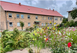 immobilienmakler_wismar_Immobilienteam_Ostsee_*_Ihr_Partner_für_Immobilien_4.jpg