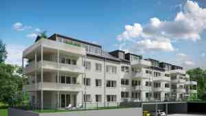 immobilienmakler_trier_TRIHAUS_GMBH_&_Co._KG_3.jpg
