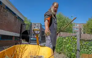 boomverzorging_dordrecht_Allgroen_B.V._4.jpg