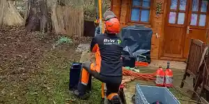boomverzorging_duiven_Bvw_boomverzorging_en_tuin_aanleg_6.jpg