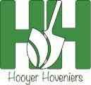 boomverzorging_hattemerbroek_Hooyer_Hoveniers_2.jpg