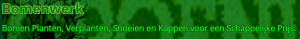 boomverzorging_amsterdam_Groenwerk_5.jpg