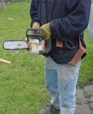 boomverzorging_amsterdam_Groenwerk_4.jpg