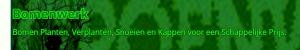 boomverzorging_amsterdam_Groenwerk_2.jpg