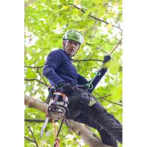 Peters Bomenservice Beek Zuid Limburg.jpg