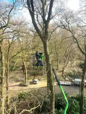 Bosonderhoud gemeente Nijmegen.jpg