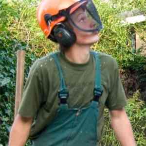 ARBOR Boomspecialisten.jpg