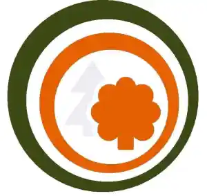 stratenmaker_purmerend_CB._Boomverzorging_&_Groenprojecten_2.jpg