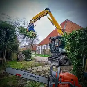 stratenmaker_purmerend_CB._Boomverzorging_&_Groenprojecten_3.jpg